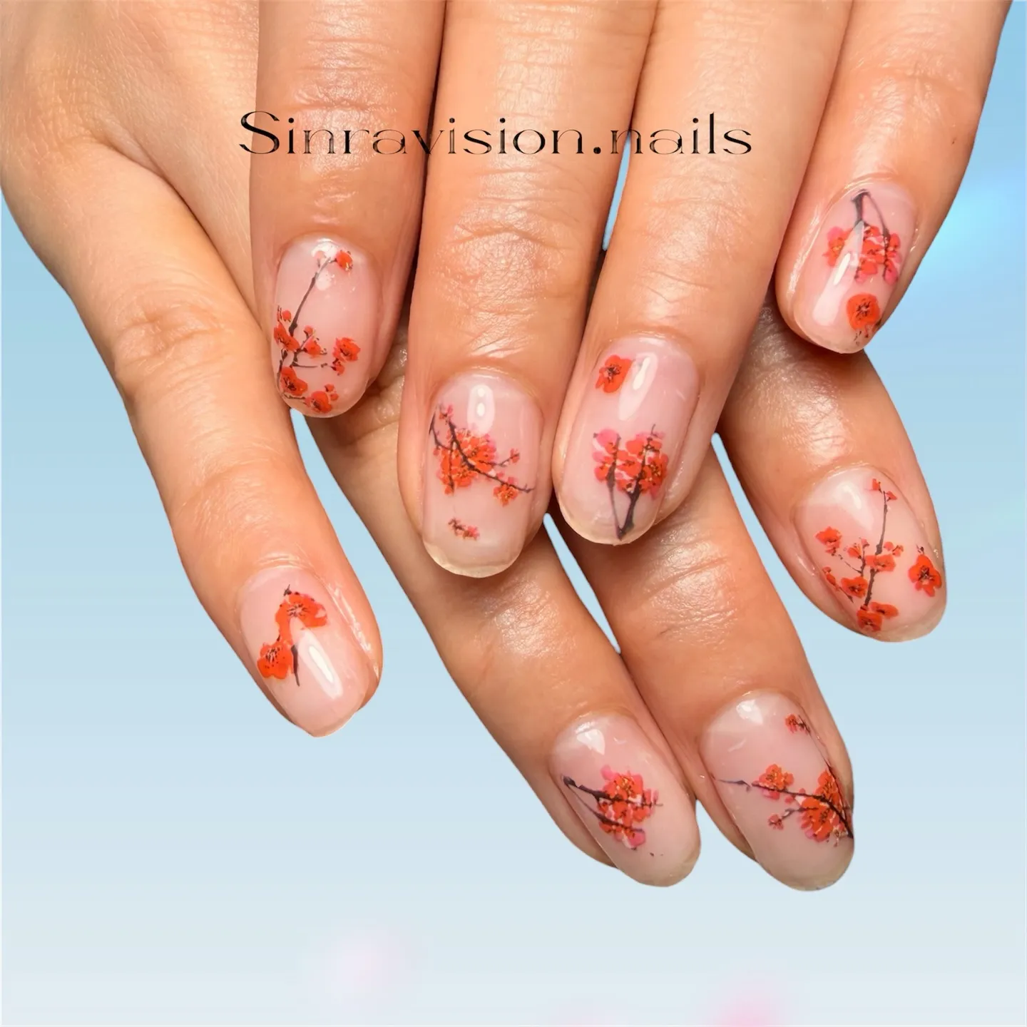 🧚‍♀️🧚‍♀️🧚‍♀️梅🧚‍♀️🧚‍♀️🧚‍♀️