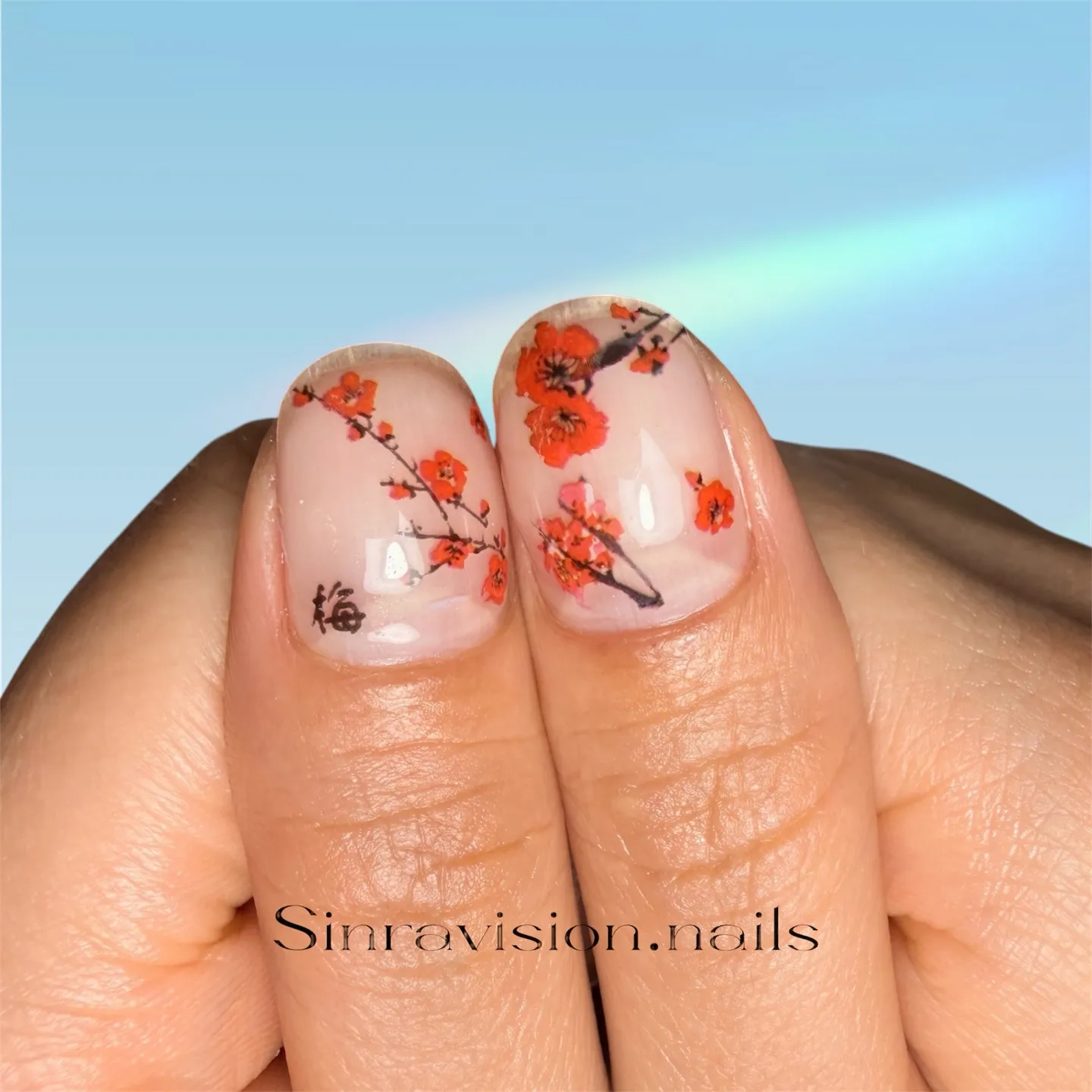 🧚‍♀️🧚‍♀️🧚‍♀️梅🧚‍♀️🧚‍♀️🧚‍♀️